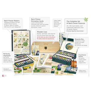 Bach Flower Complete Set Kit in Wooden Case - Creature Comforters