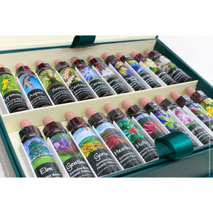 Bach Flower Complete Set Kit in Wooden Case - Creature Comforters