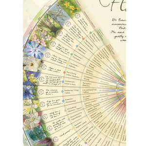 The Healing Herbs of Edward Bach Poster