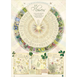 The Healing Herbs of Edward Bach Poster
