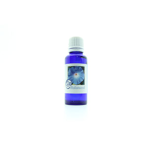 Be Balanced Blend - 30ml
