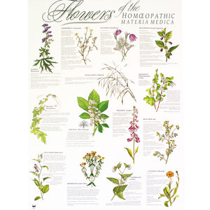 Flowers of the Materia Medica Poster