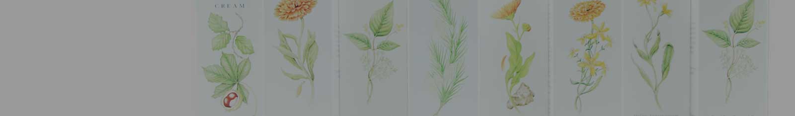 Homeopathic Creams