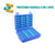 Plastic Case with Foam Inserts for 36 x 2g vials