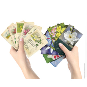 Bach Flower Divination Cards Deck - Creature Comforters