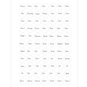 Label C - Circular printed labels with remedy names (12mm diameter) (616 per pack, 77 per sheet)