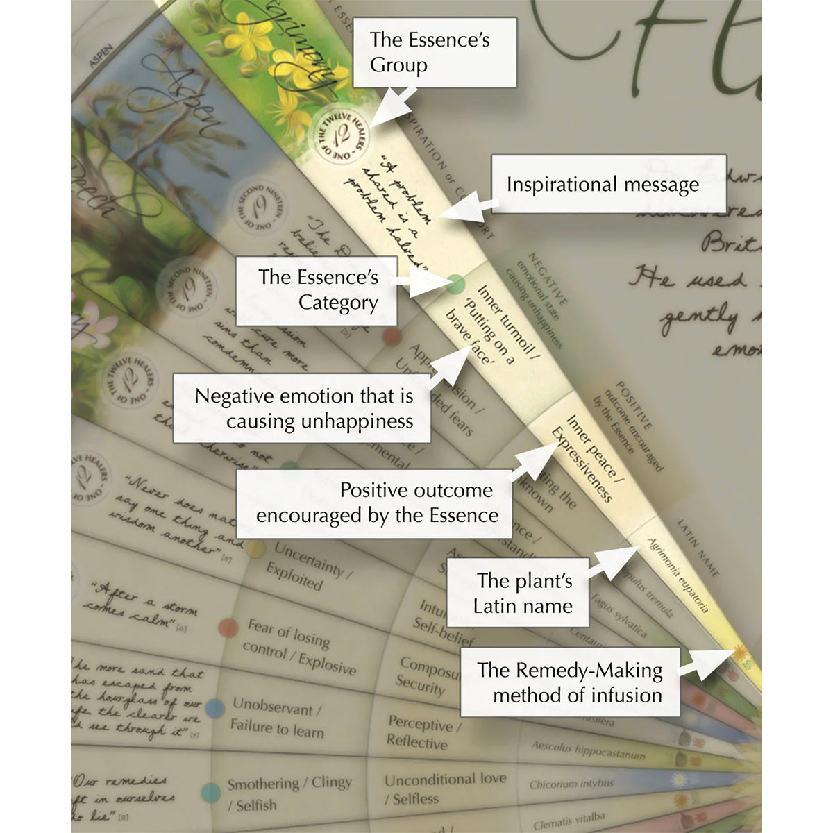 The Healing Herbs of Edward Bach Poster