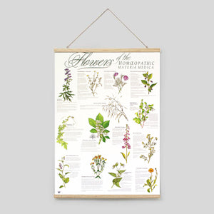 Flowers of the Materia Medica Poster