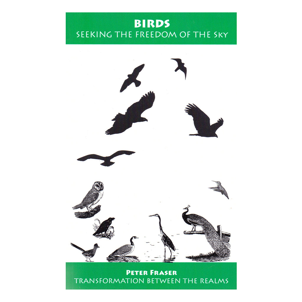 Birds: Seeking the Freedom of the Sky – Peter Fraser