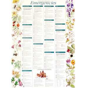 Poster - Emergencies (with hangers)