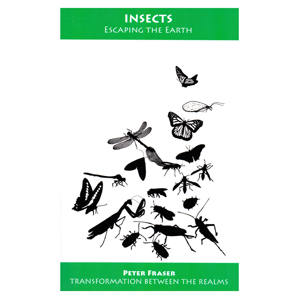 Insects: Escaping the Earth – Peter Fraser