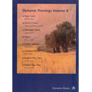 Dynamic Provings Volume 2 – Jeremy Sherr