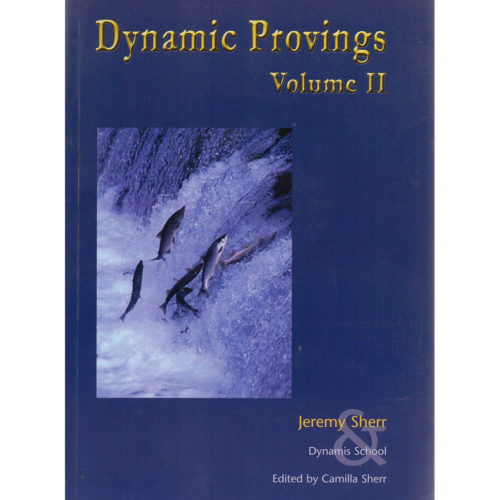 Dynamic Provings Volume 2 – Jeremy Sherr